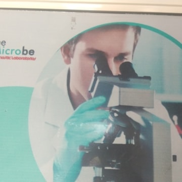 Lab view 6