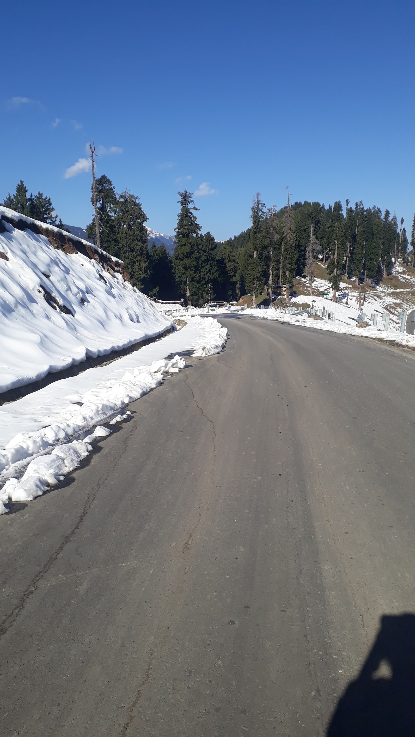 Visuals from fresh snowfall in Jammu and Kashmir