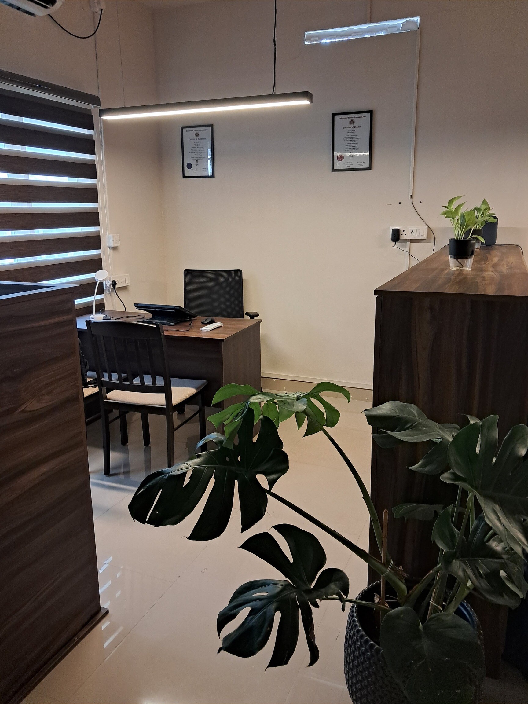 Gallery 8