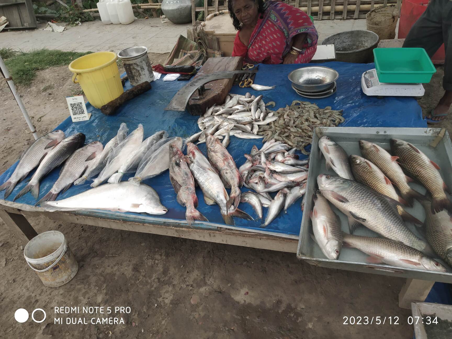 Fish Retailers in Bidhan Nagar, Kolkata - Fish Suppliers - Justdial