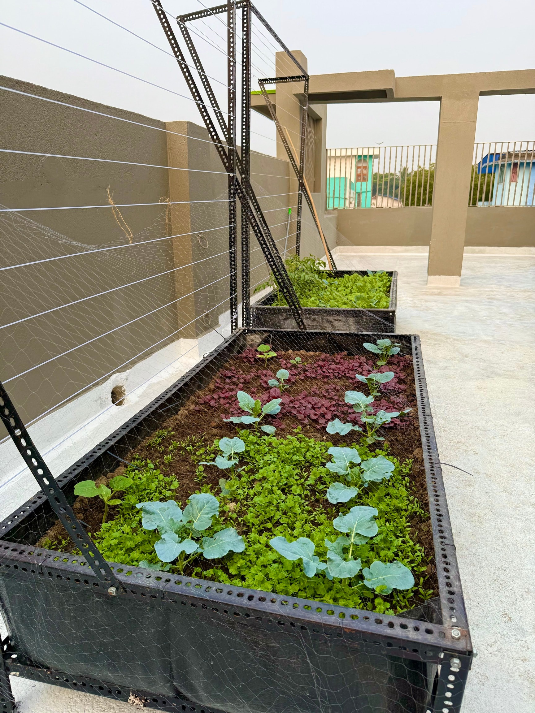 The Neev Preschool and Activity Center