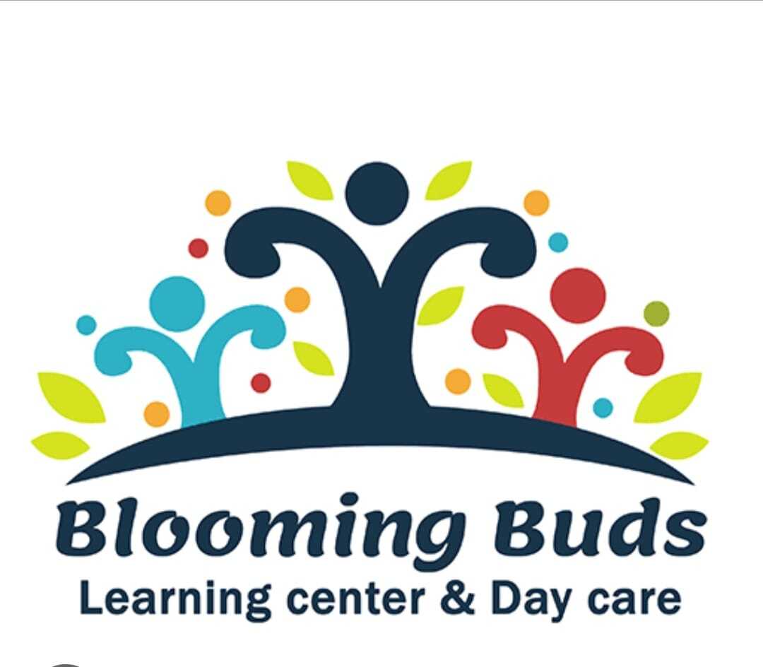 Blooming Buds Daycare and Activity Centre