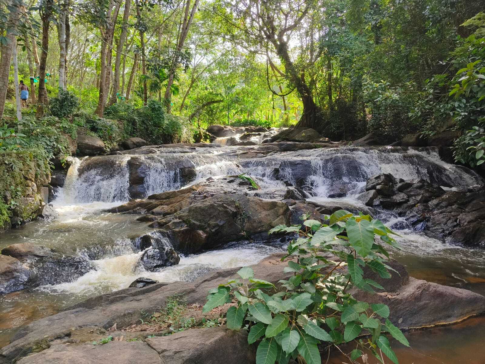 Ayiranallur Landscape