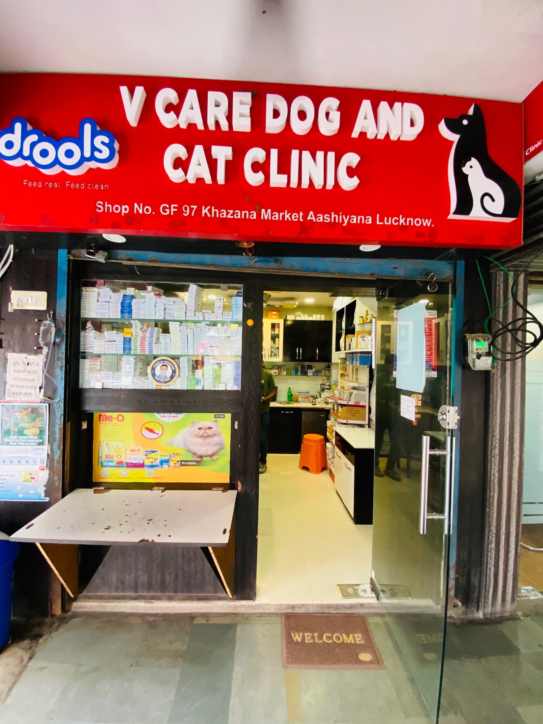 Lucknow Best Pet Clinics Near Me Book Pet Boarding In Lucknow Cat