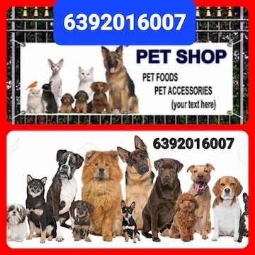 pet shop near me dog
