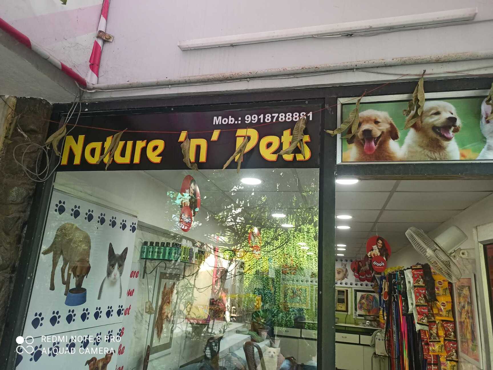 nature pet center