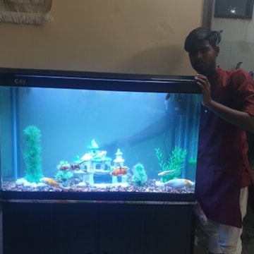 Aquarium cleaning services hotsell