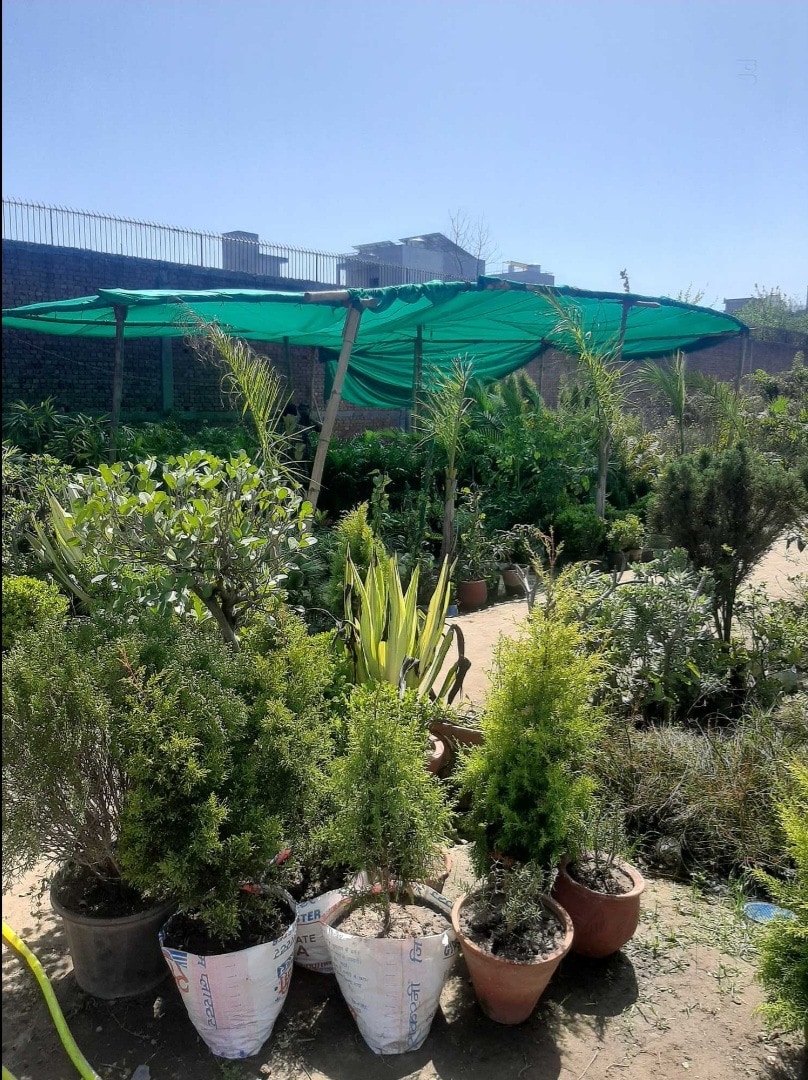 Lab view 6