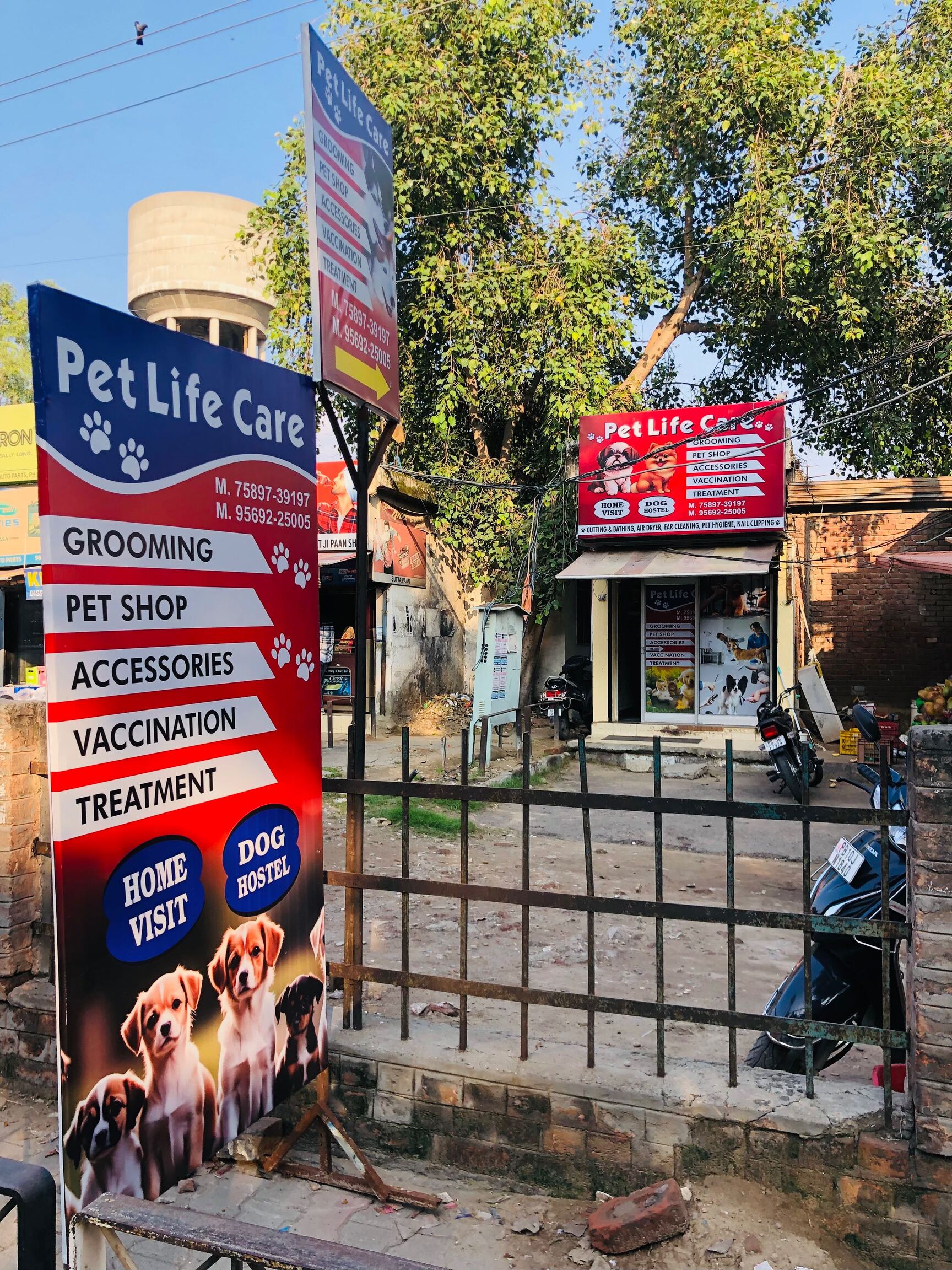 Pet Grooming Pet Shop Accessories Near Me Pet Shop Pets Hair Salon