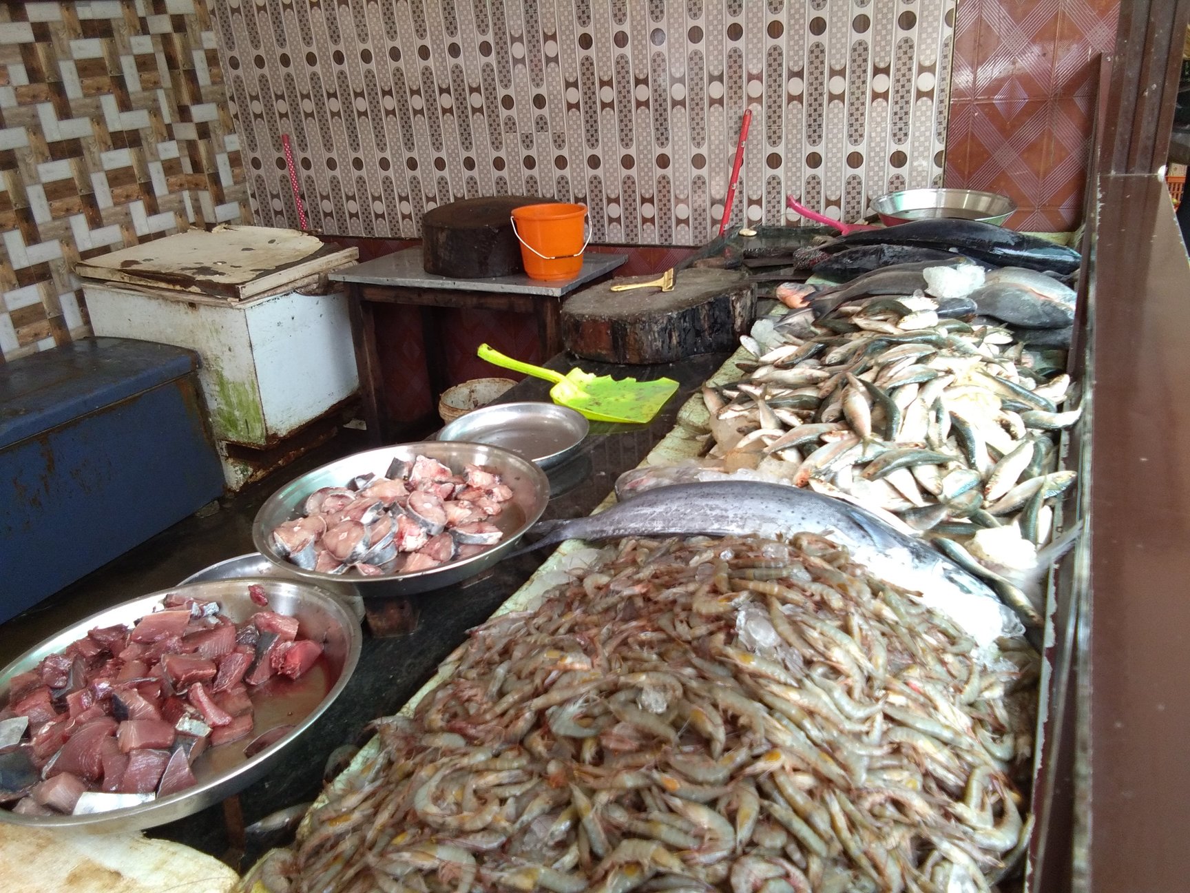 Fish Retailers in Areacode, Malappuram - Fish Suppliers - Justdial