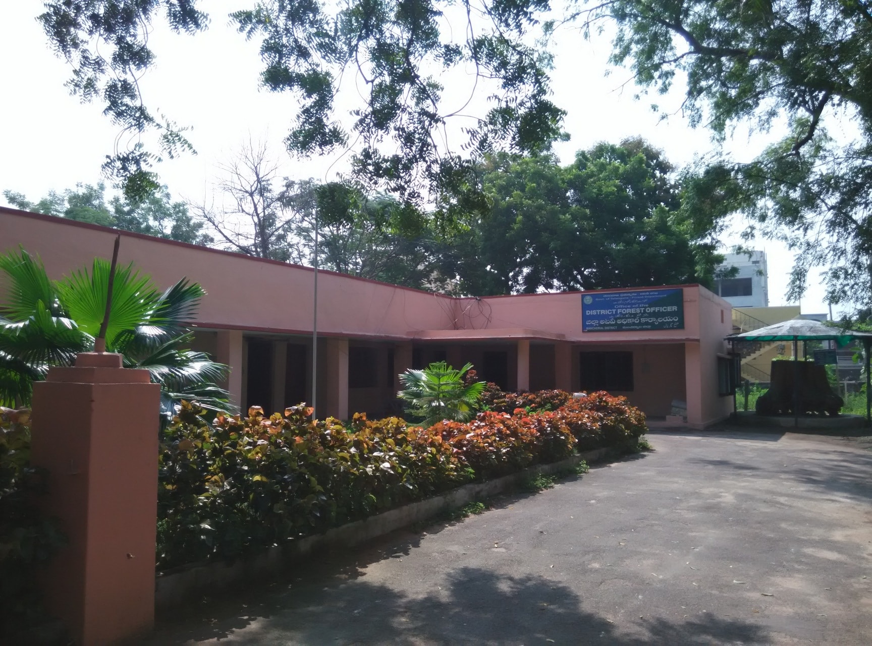 मुखेड वनविभागातील गैरप्रकारांवर काँग्रेस आक्रमक; वनपरिक्षेत्र अधिकार्‍याच्या निलंबनाची मागणी