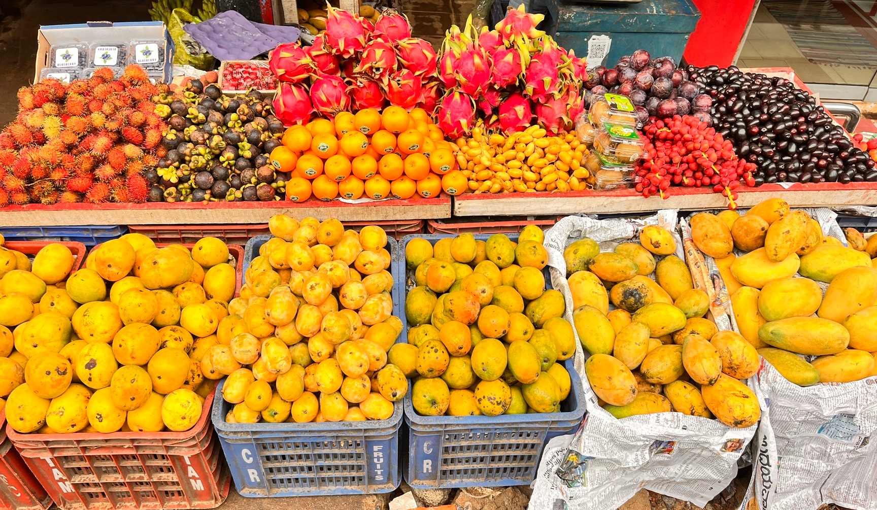 Karavali Fruits in Surathkal, Mangalore - Best Fruit Wholesalers