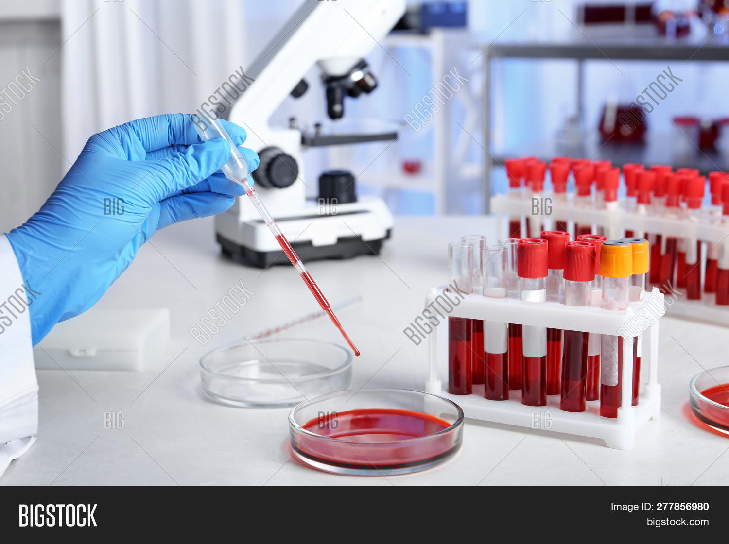 Lab view 12