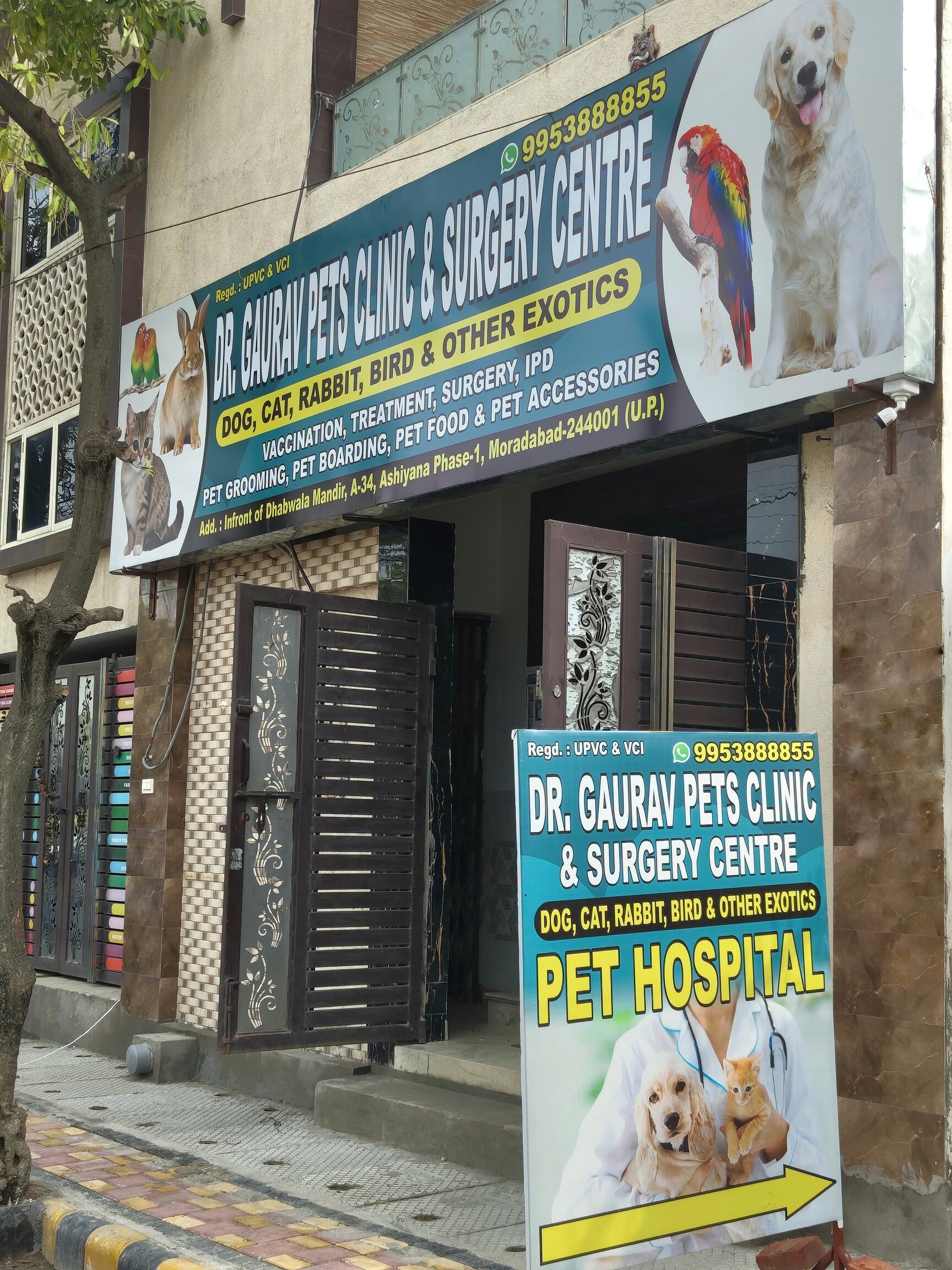 Top Veterinary Doctors For Rabbit in Rohini Sector 3 Delhi Best Rabbit Veterinarian Doctors near me Justdial