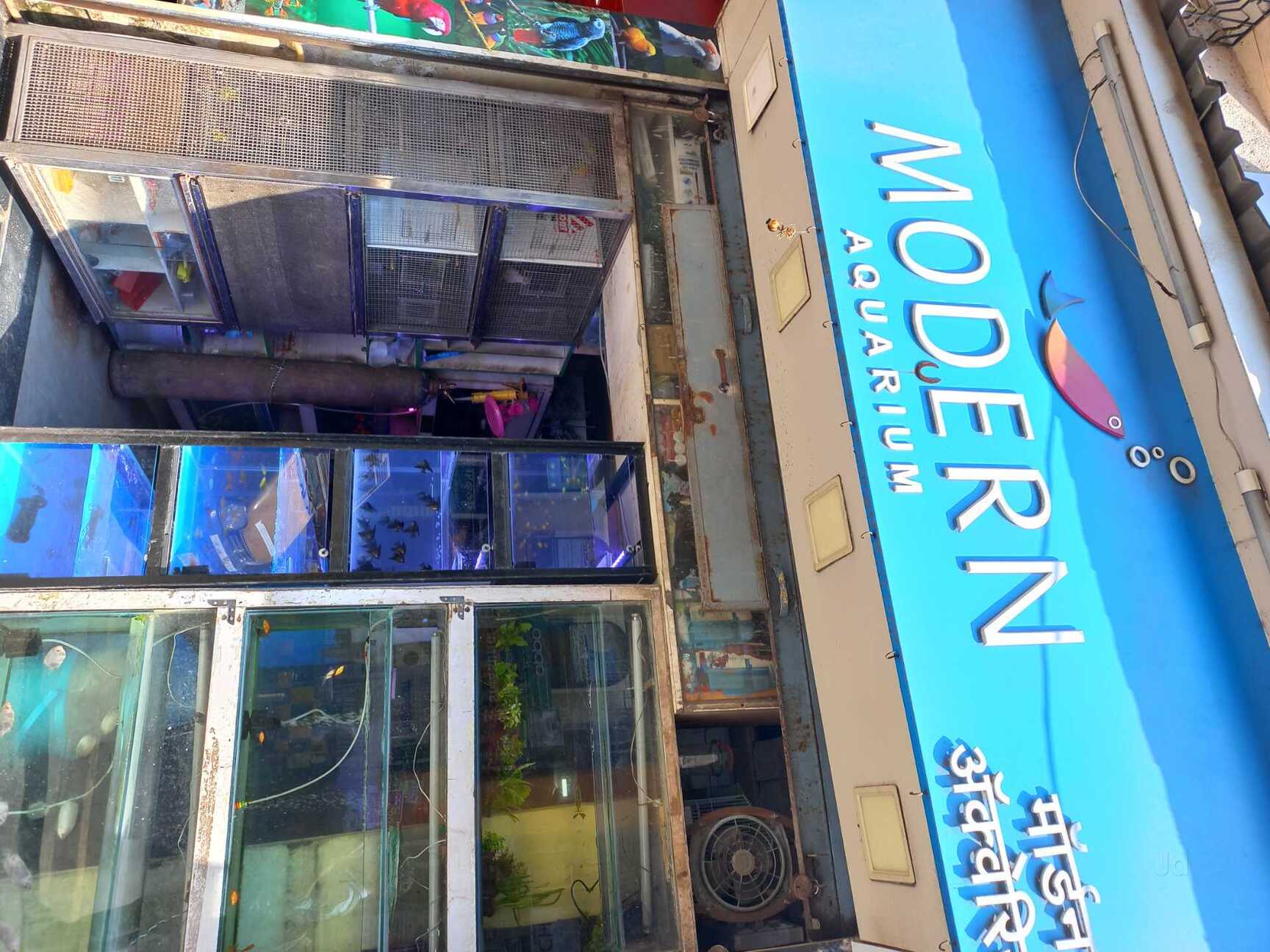 Modern Aquarium in Thane West,Mumbai Best Aquarium Accessory Dealers