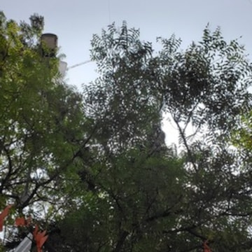Lab view 8