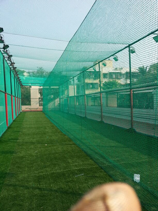 Comprehensive Bird Control and Safety Solutions in Rahatgaon Road, Amravati – Protecting Your Home and Family