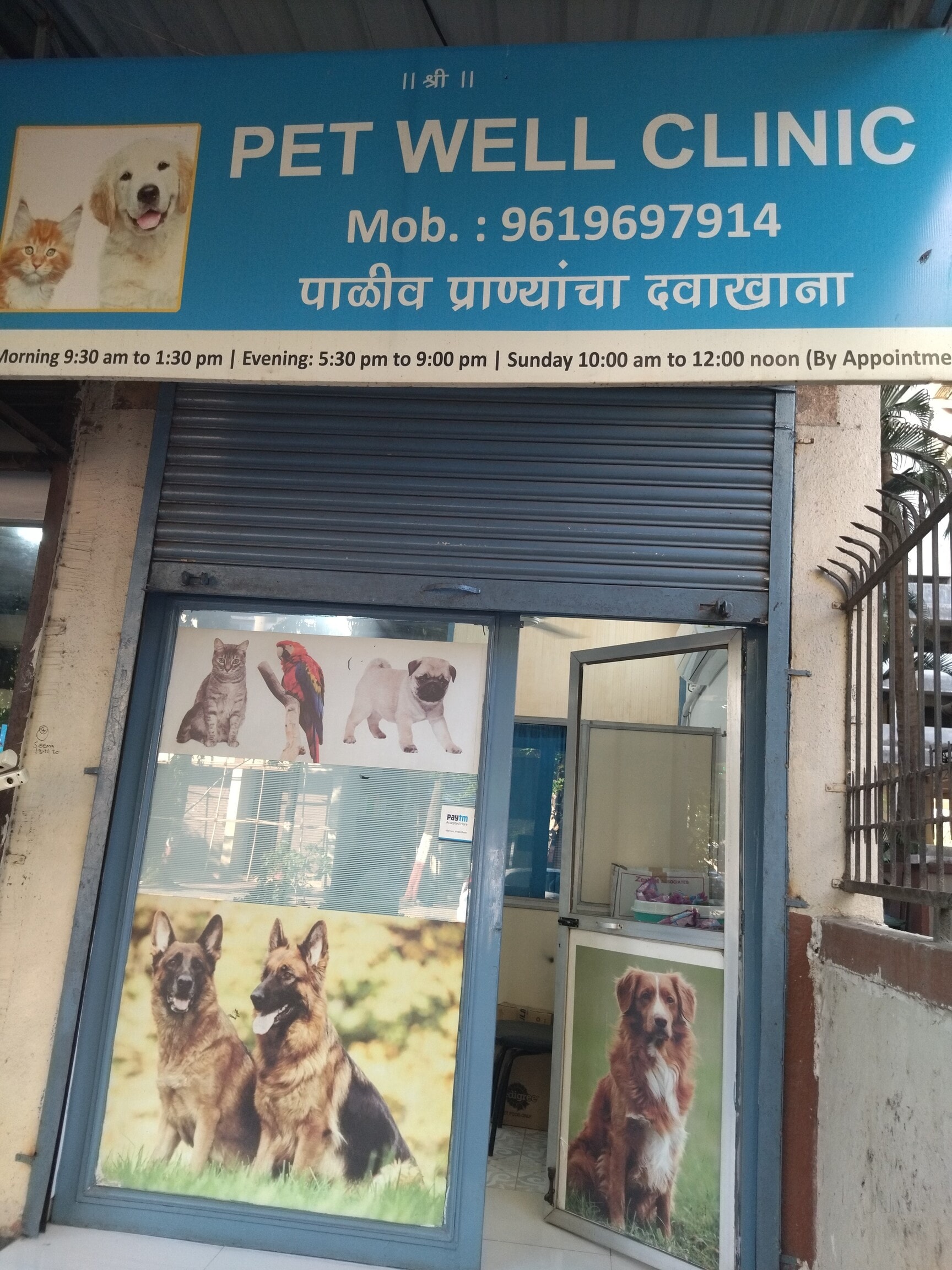 Pune Most Affordable Vets Near Me Buy Well Pet Clinic Near Me On Sale - Main Image