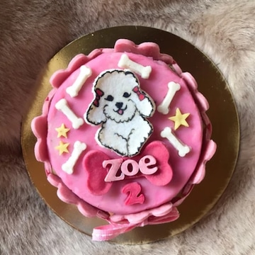 Puppy cake net worth online