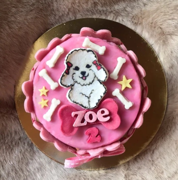 Top Cake Shops For Dog in Mumbai Best Cake Stores For Dog Justdial