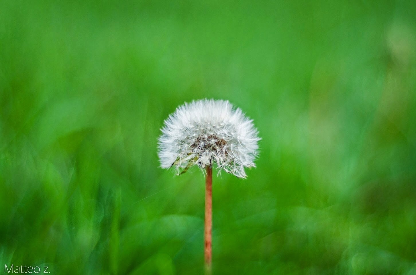 Grand Milk Centre in Grant Road,Mumbai - Best Milk Dairy near me in Mumbai  - Justdial
