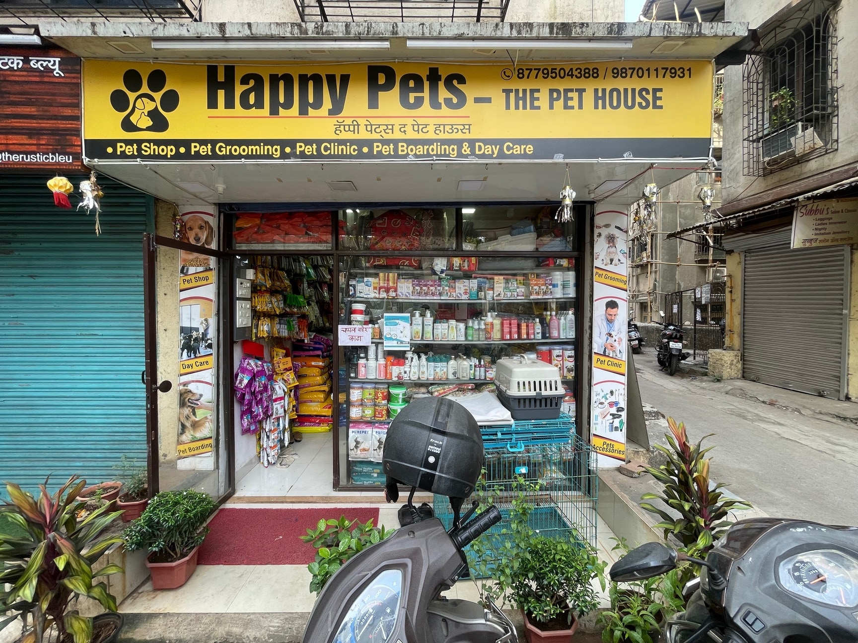 Cheap pets house near me Outlet Online
