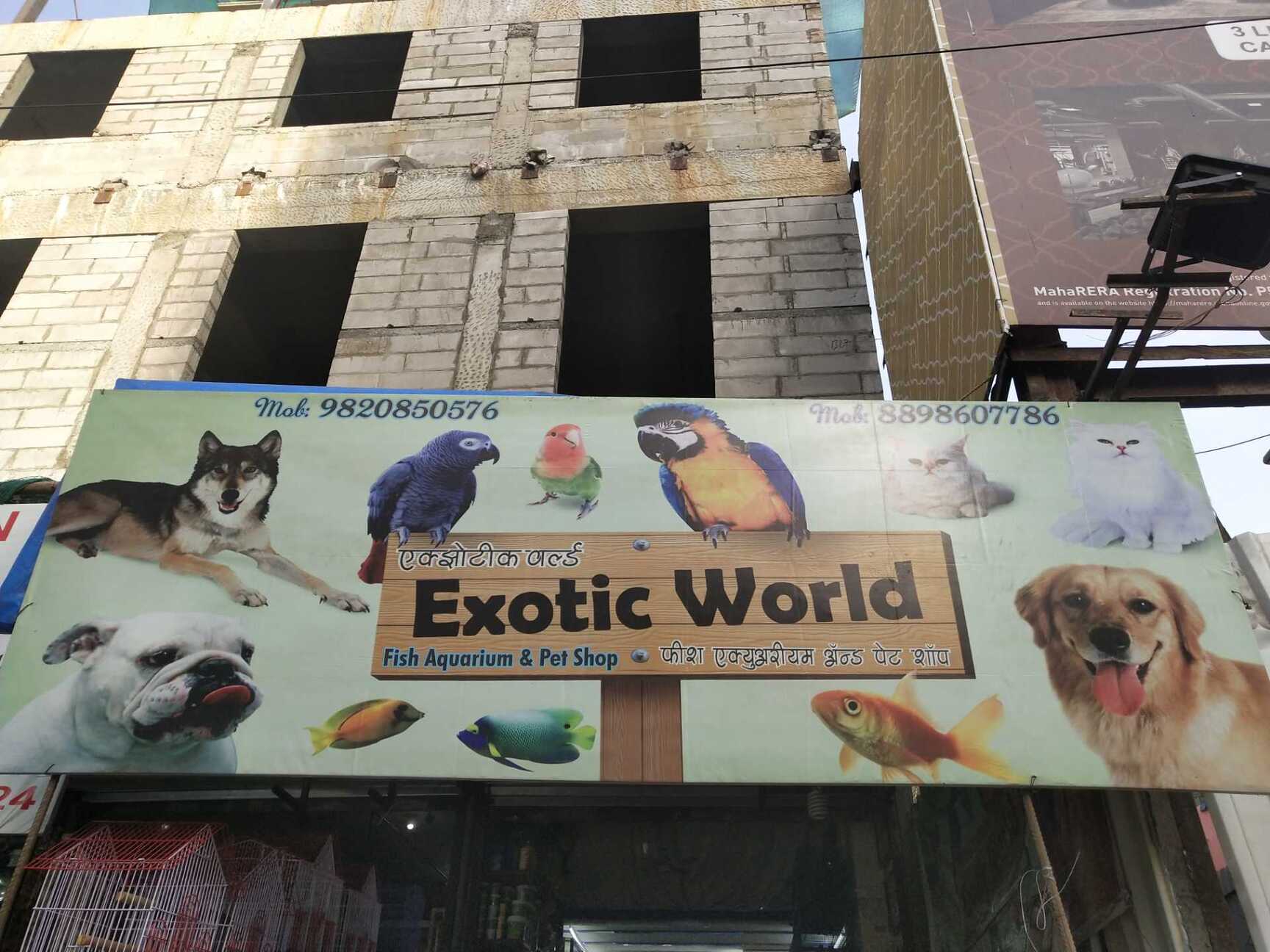 Exotic World Pet Shop in Khar West Mumbai Best Fish Food Retailers near me in Mumbai Justdial