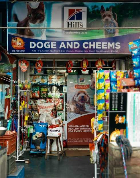 Doge And Cheems The Pet Store And Pet Parlour in Juhu Mumbai Best Pet Care Takers near me in Mumbai Justdial