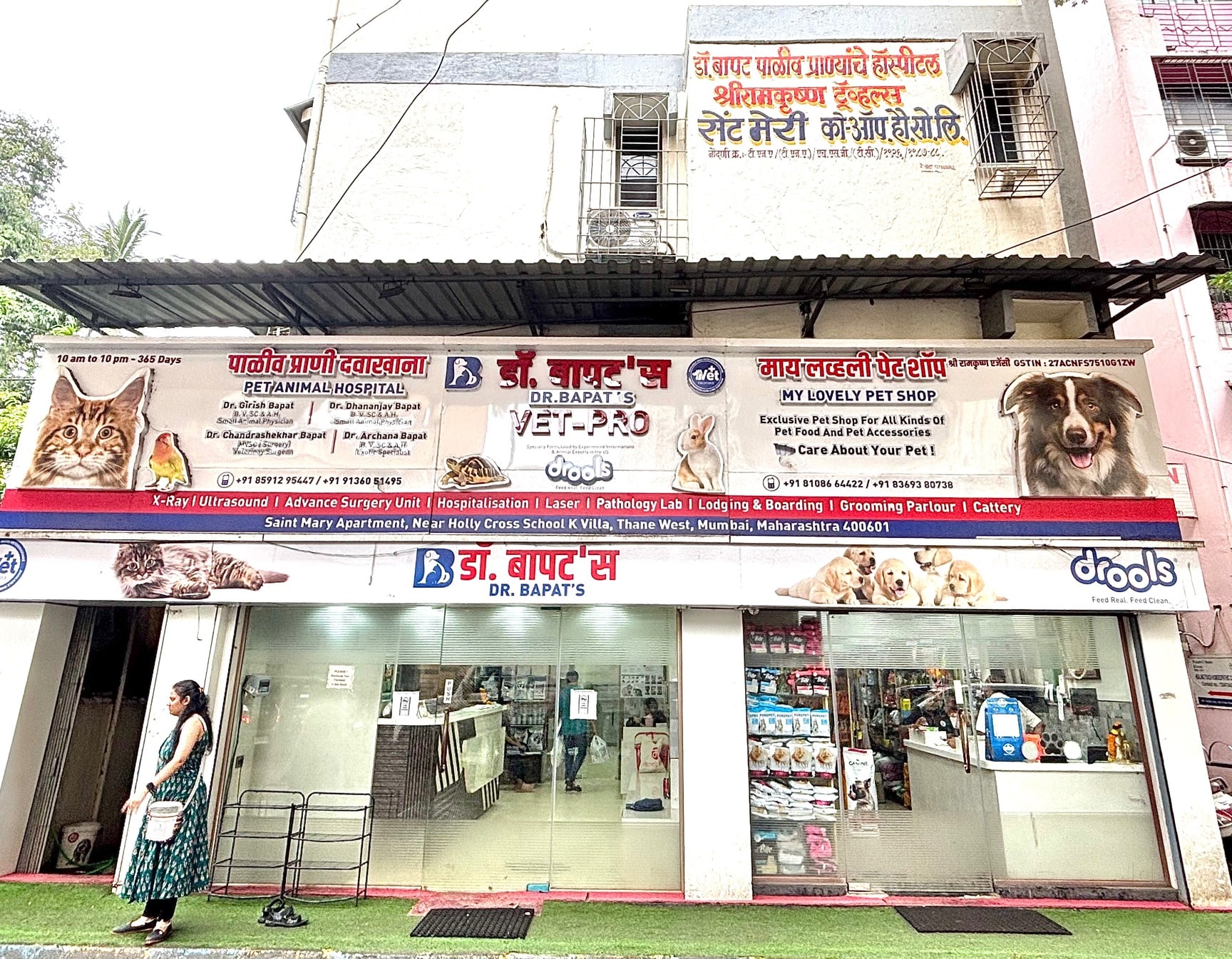 South Jordan Animal Hospital Dog Pet Care Near Me North Point