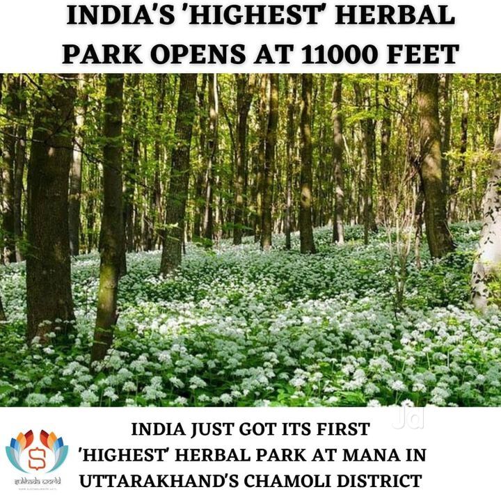 santacruzＴ Buy Santa Cruz Vala AL 70 Performance CX 600 Wh Mixed online