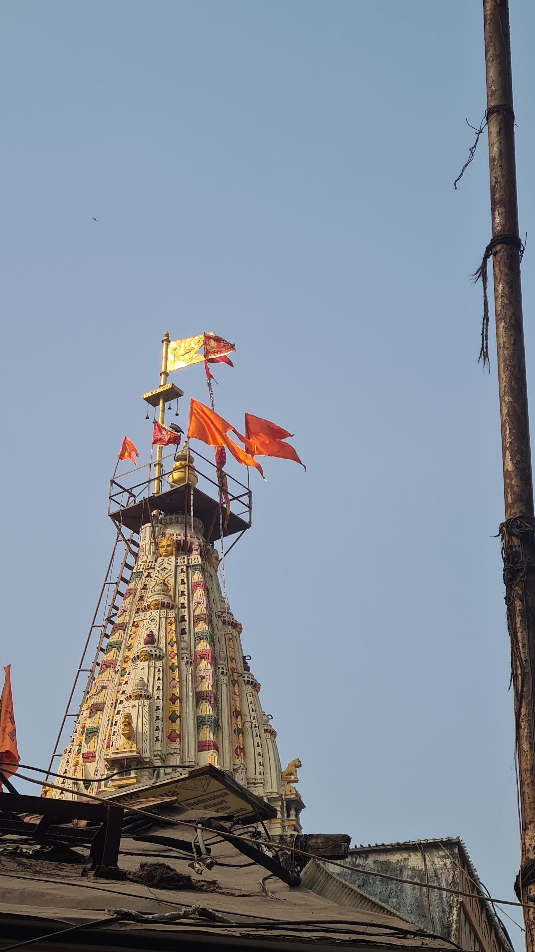 紙 6月VIP 10%off中) メル25773です❣️0621 6月VIP 10%