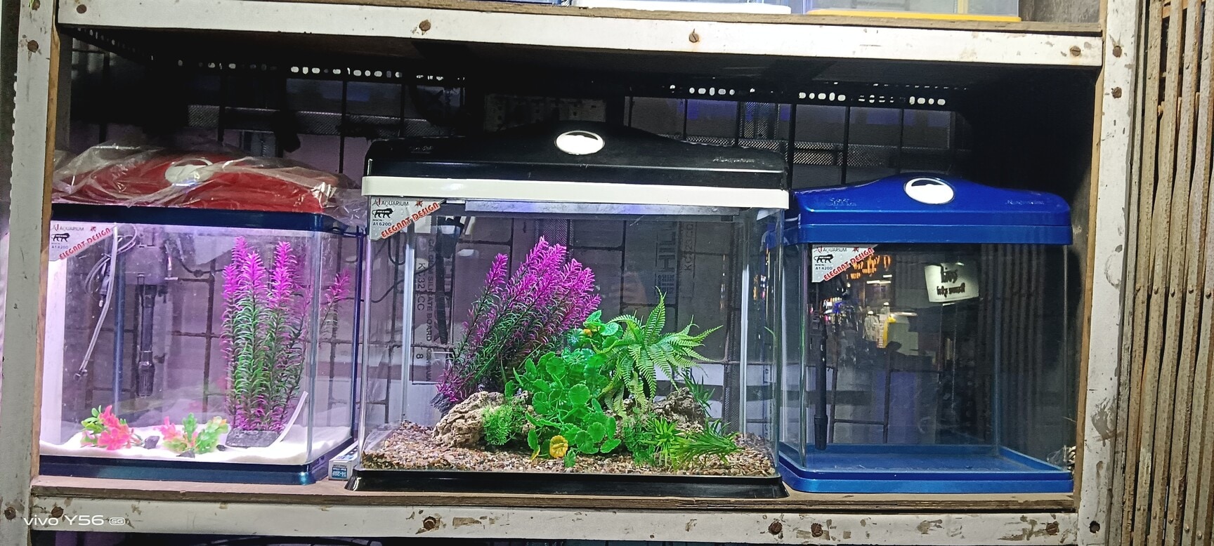 fish aquarium accessories mumbai Top Aquarium Accessory Wholesalers in Mumbai - Best Aquarium Supplies