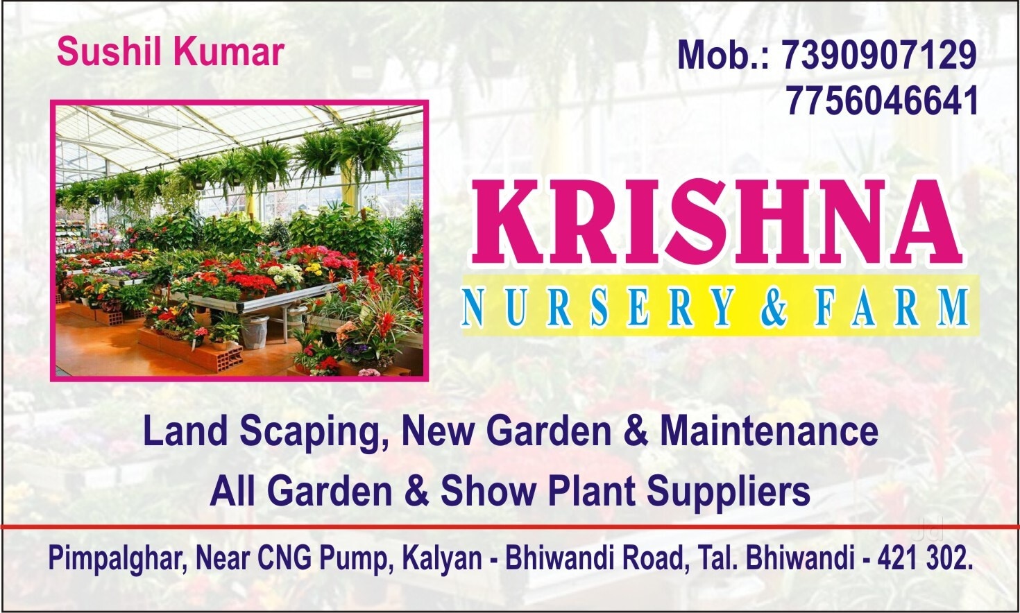 Top Venus Safety & Health Plant Nurseries in Baramati - Best Venus Safety &  Health Plant Nurseries near me - Justdial