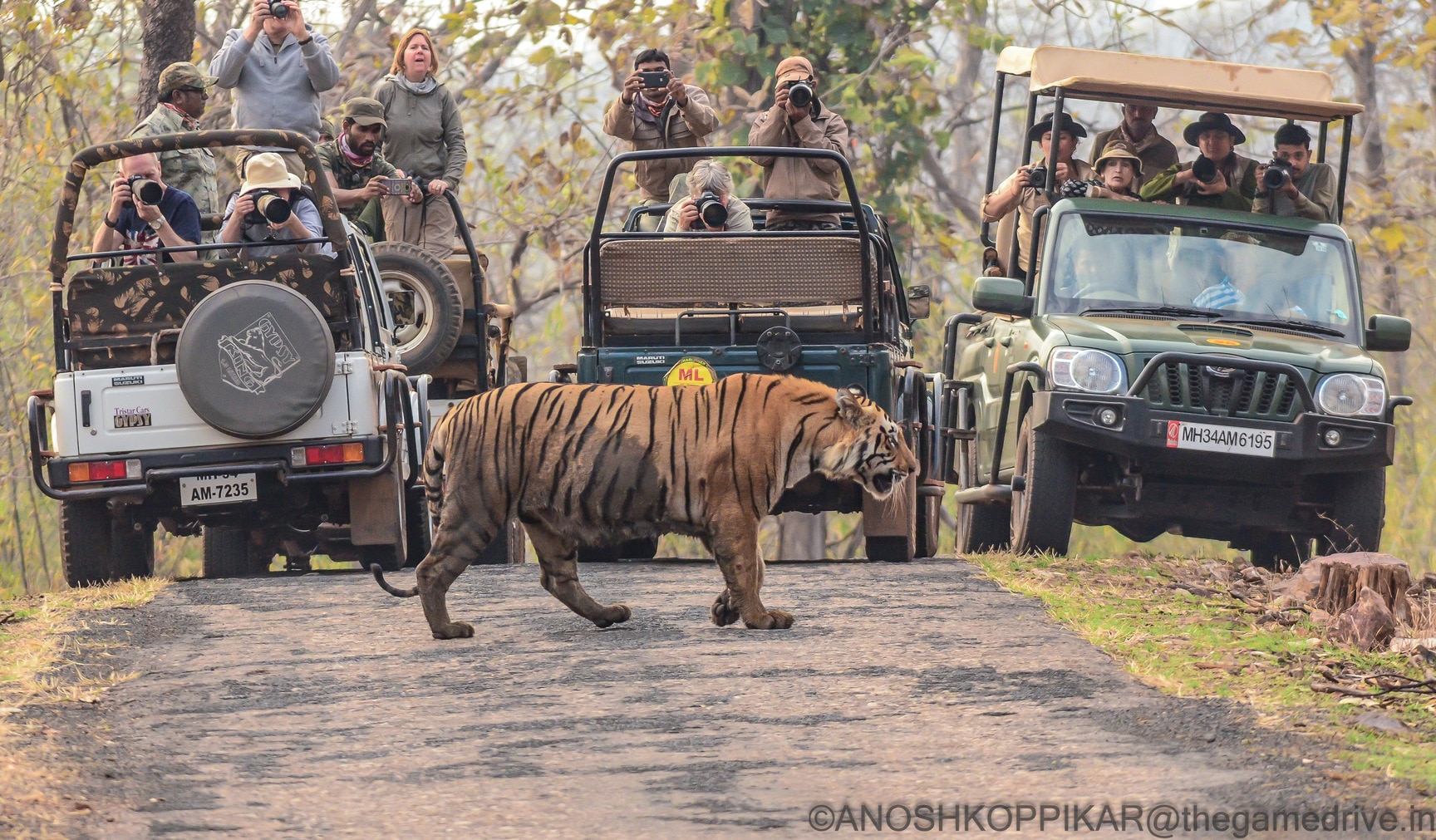 The Game Drive in Prabhadevi,Mumbai Best Tour Operators in Mumbai