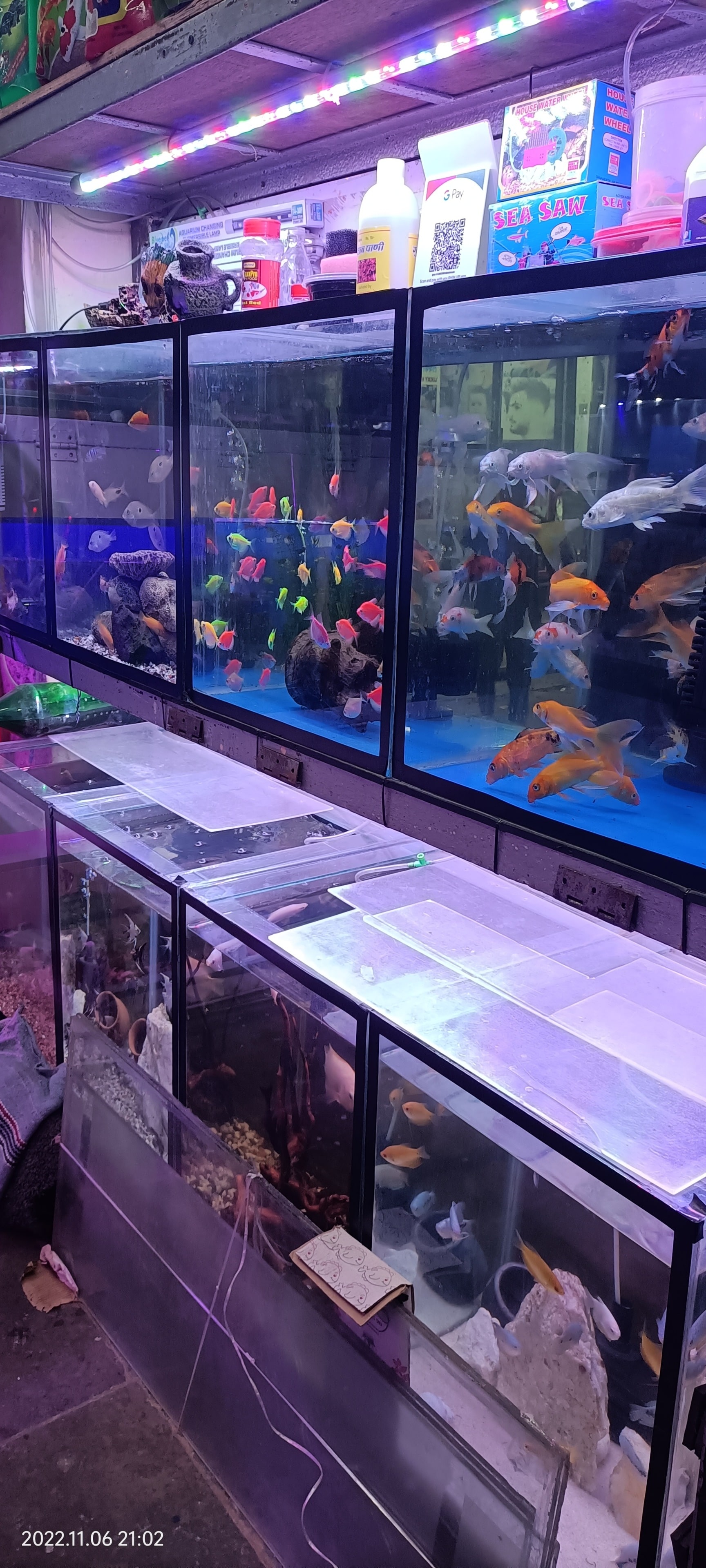 fish tank and accessories for sale in mumbai 4 Feet Imported Aquarium Buy Aquarium Accessories at Wholesale