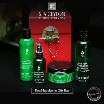 スパセイロンSPACEYLONアーユルヴェーダピュアアロエギフトセット