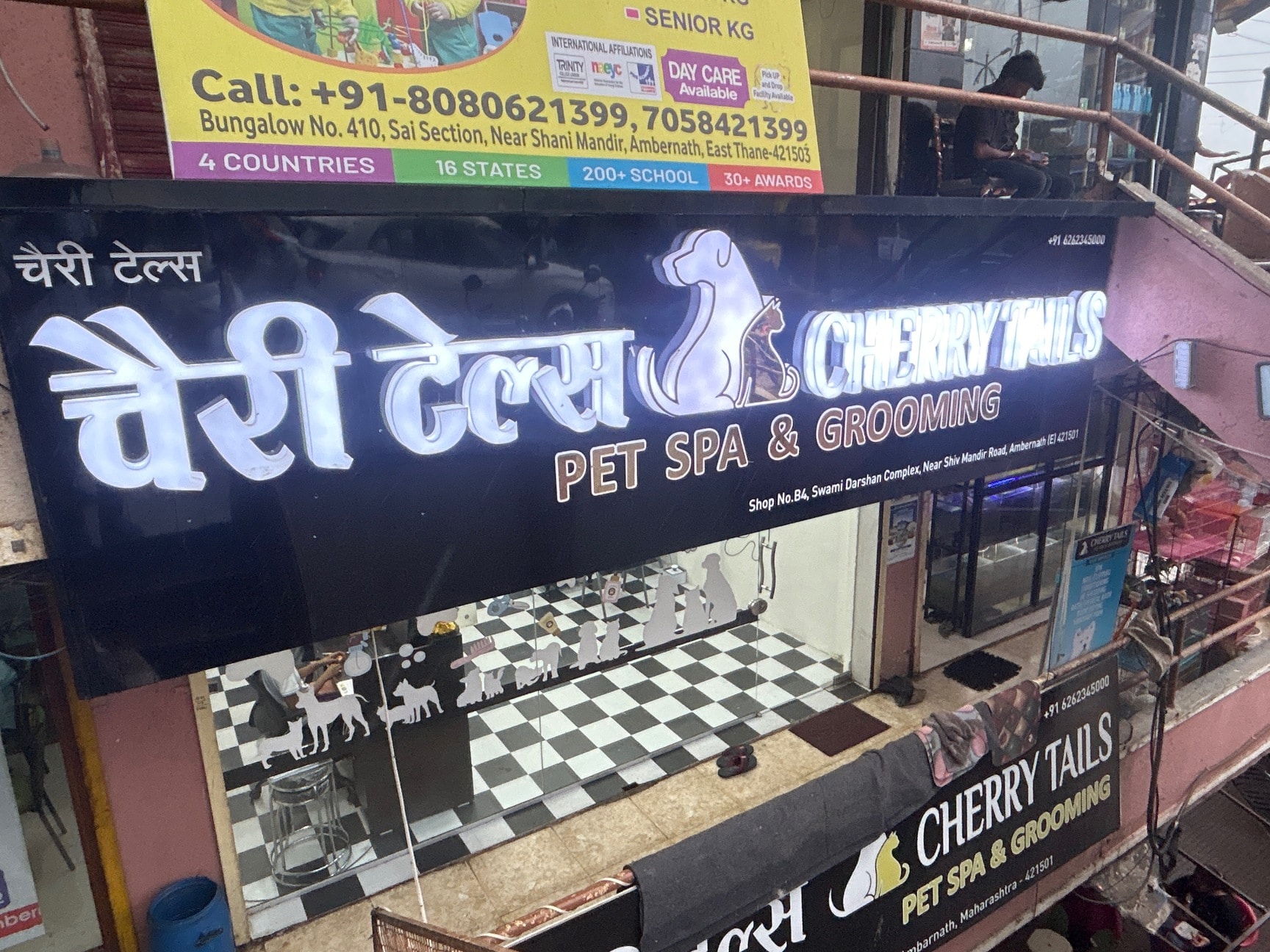 Pet Spa Shani's Puppy Spa Mumbai Happy Tails Grooming Prices