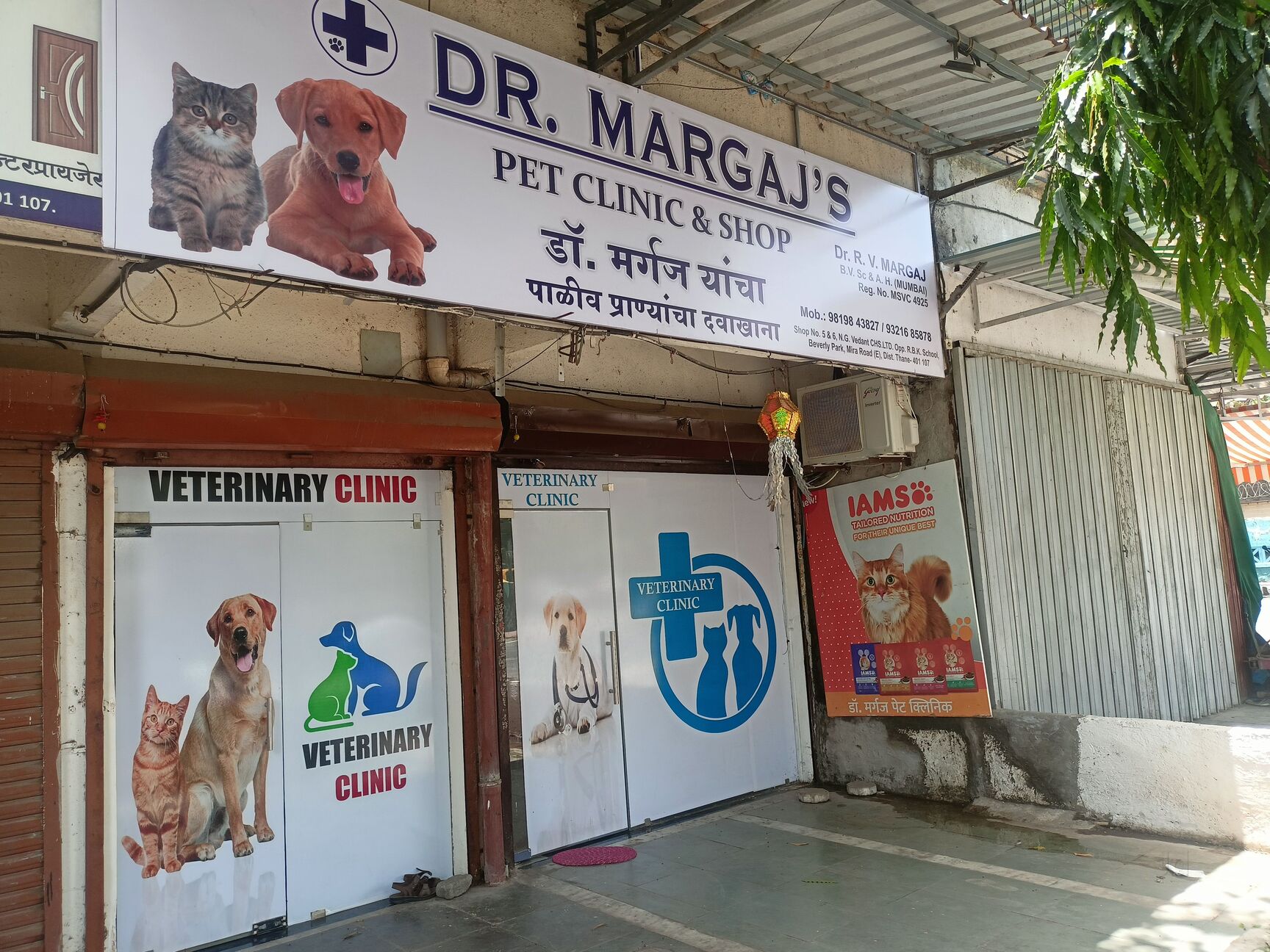 Stepping Stone Pet Hospital Stone Veterinary Clinic M M Pet Care