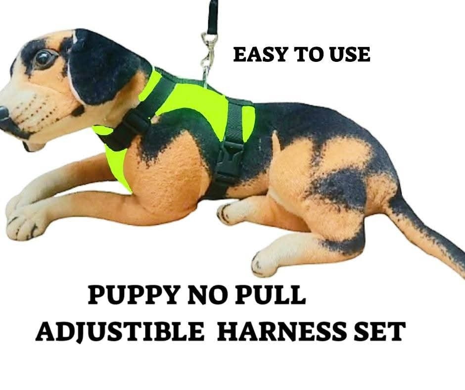 Jet Doggy Article Dog Accessories Manufacturer Company in Dagdi