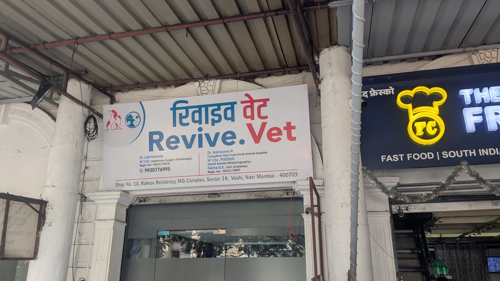 Cat Clinic Feline Hospital Near Me Veterinary Hospital Best Vets