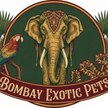 Top Pet Shops For Lionhead Rabbit in Airoli Sector 12, Navi Mumbai near ...