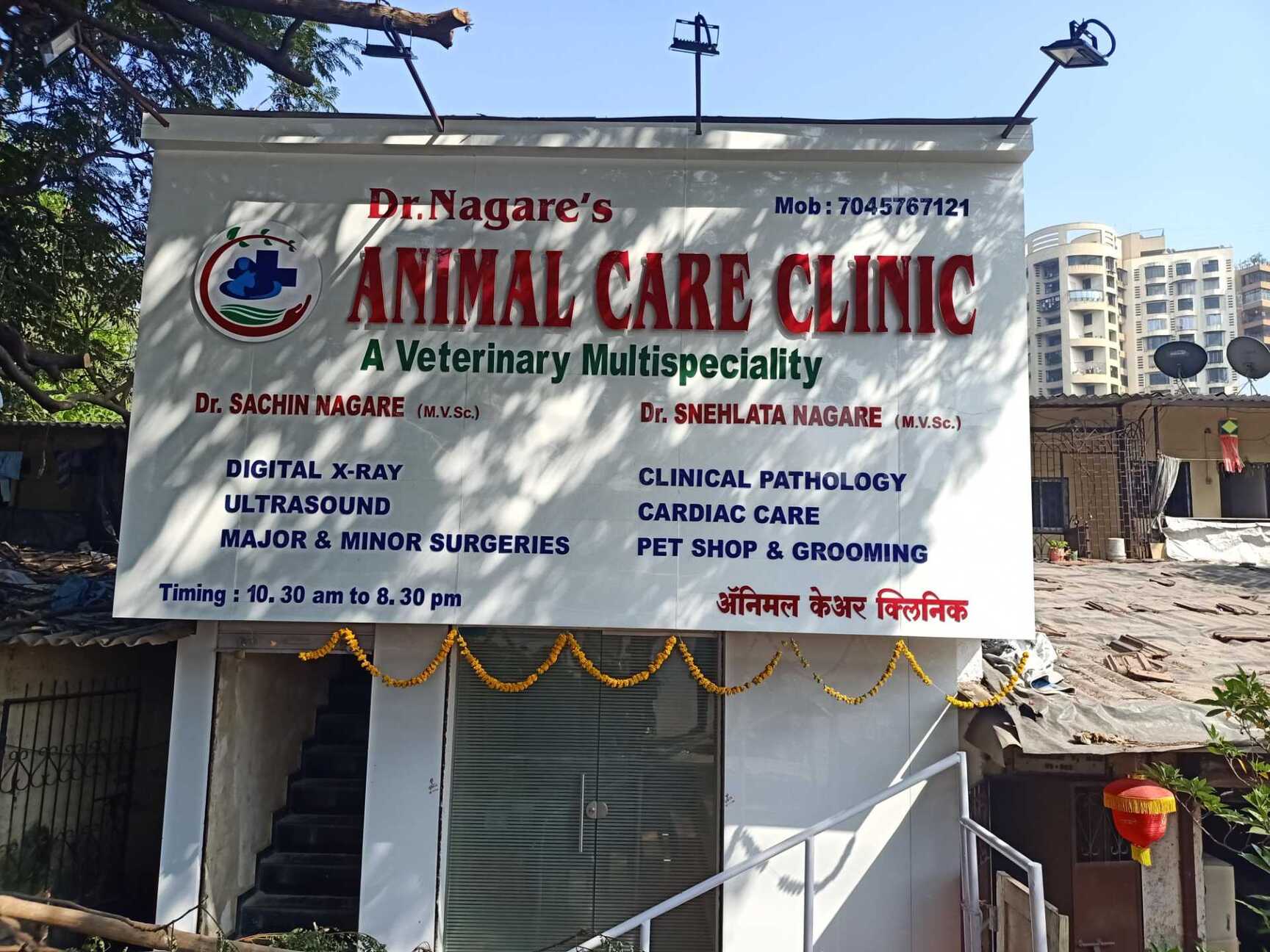 Hospital Bangalore Animal Hospital Good Veterinary Hospitals Near