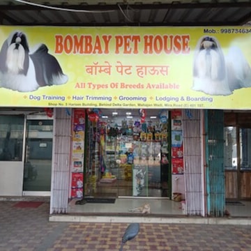 Top Pet Shops For Shiba Inu Dog in Panvel City Best Shiba Inu Dog Dealers Navi Mumbai Justdial