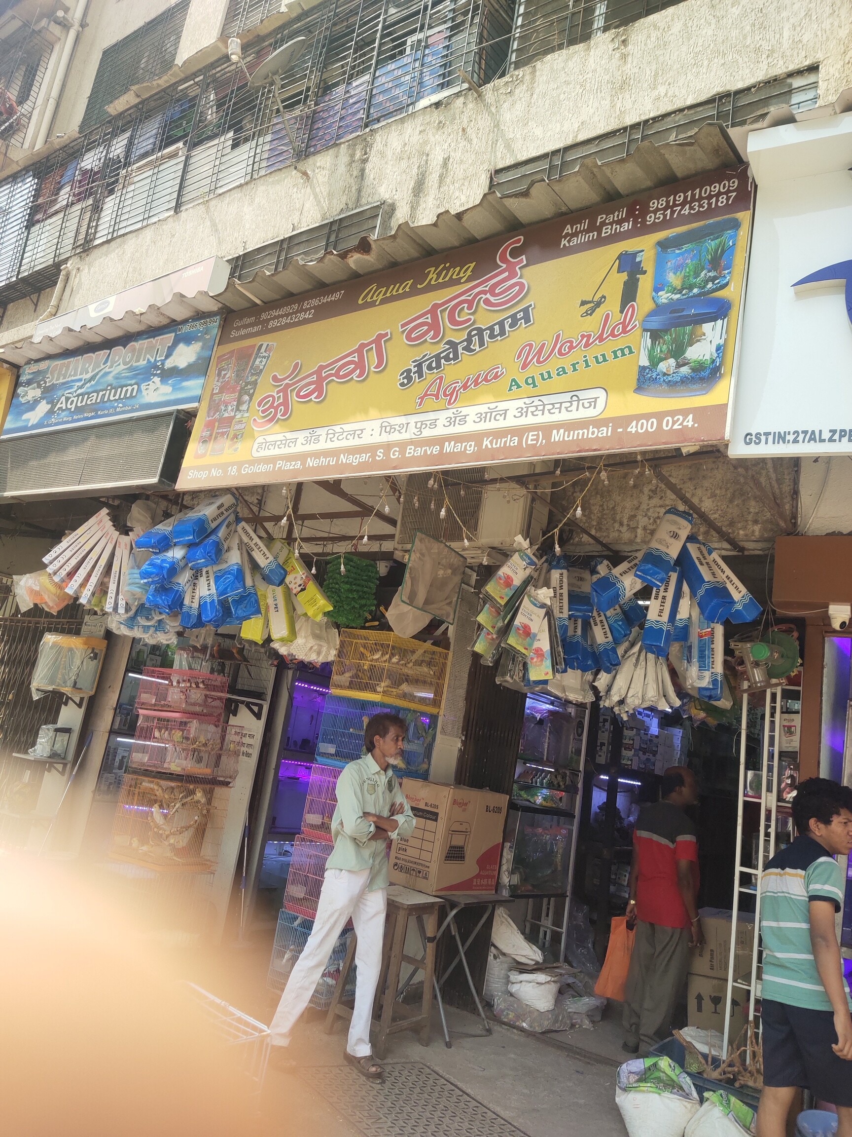Top Fish Aquarium Dealers in Kurla East Best Fish Aquarium Shops Justdial
