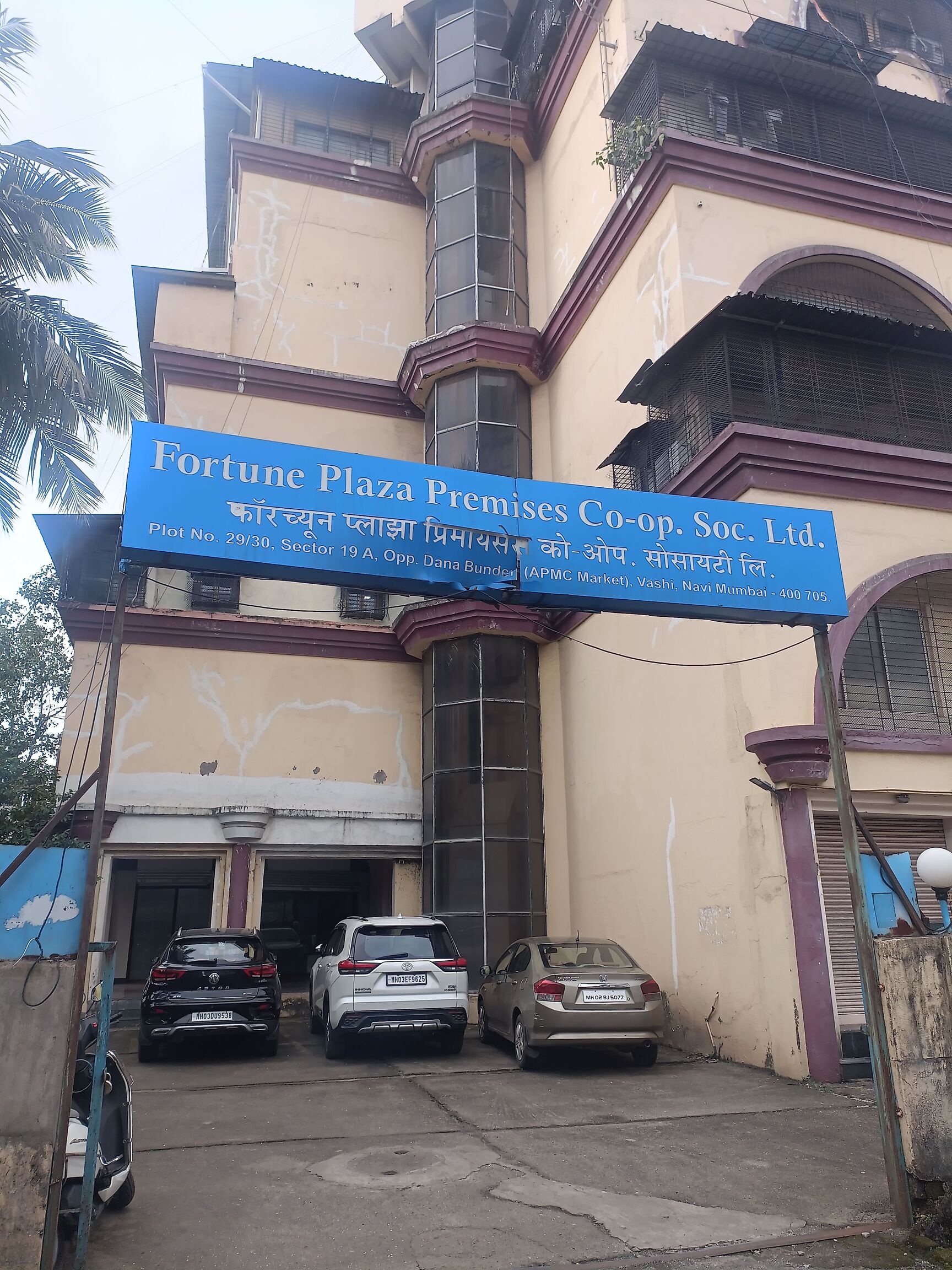 Gori & Associates - Image 4