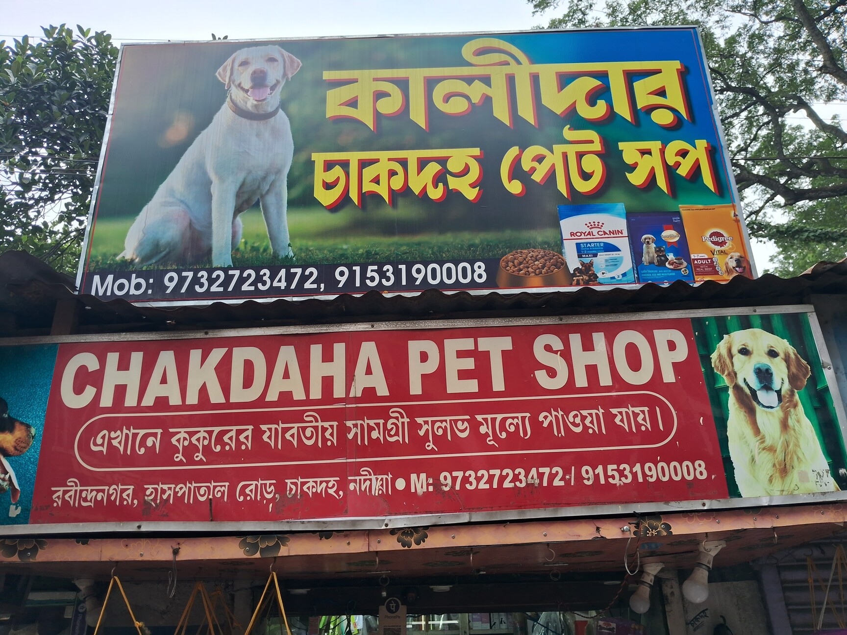 Find the nearest pet shop best sale