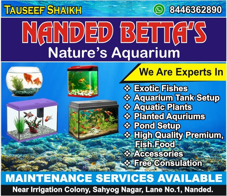 Top Aquarium Accessory Dealers in Osmanabad near me - Justdial