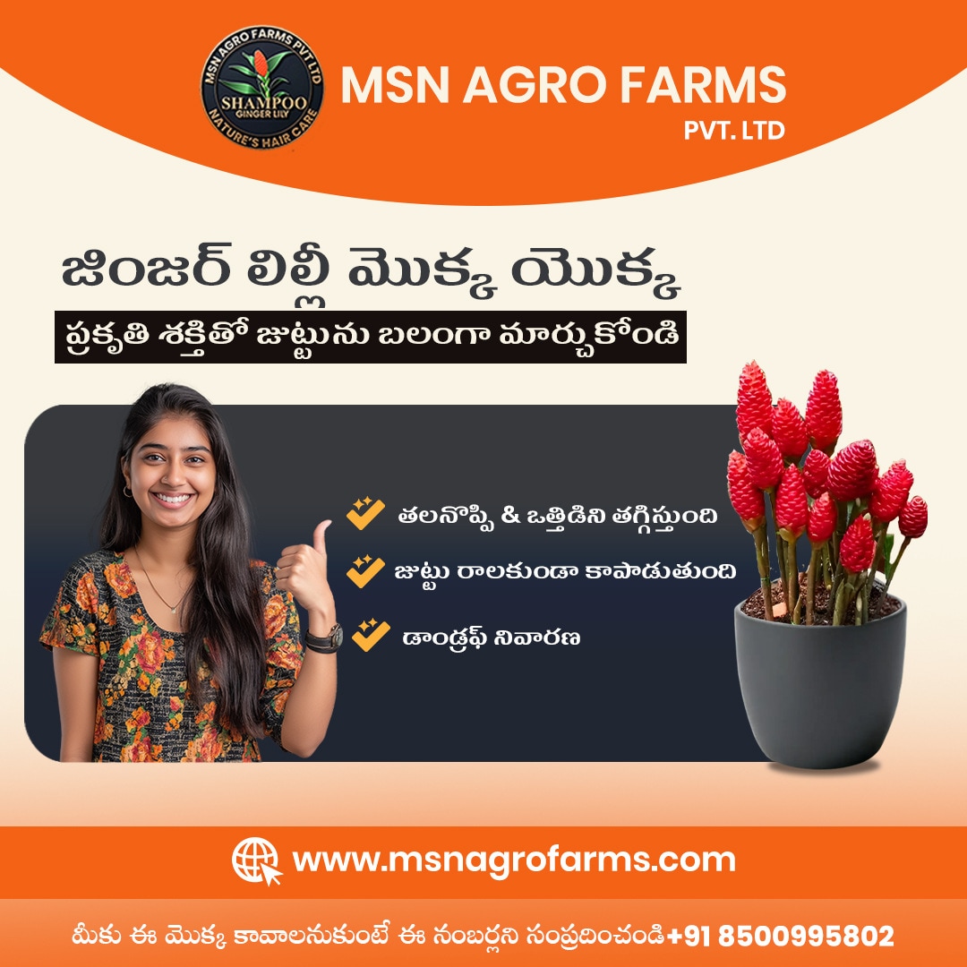 Pump farm day nursery (93) 사진