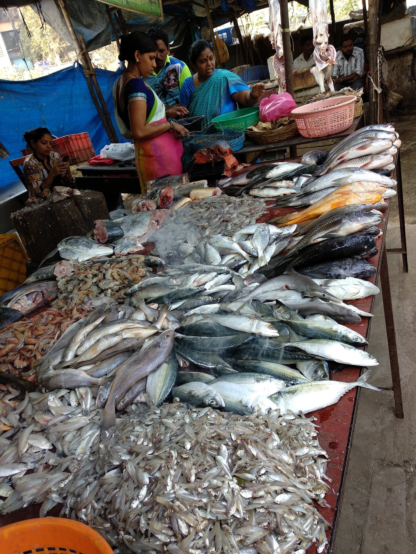 Top Fish Markets in Vikhroli East - Best Seafood Market - Justdial