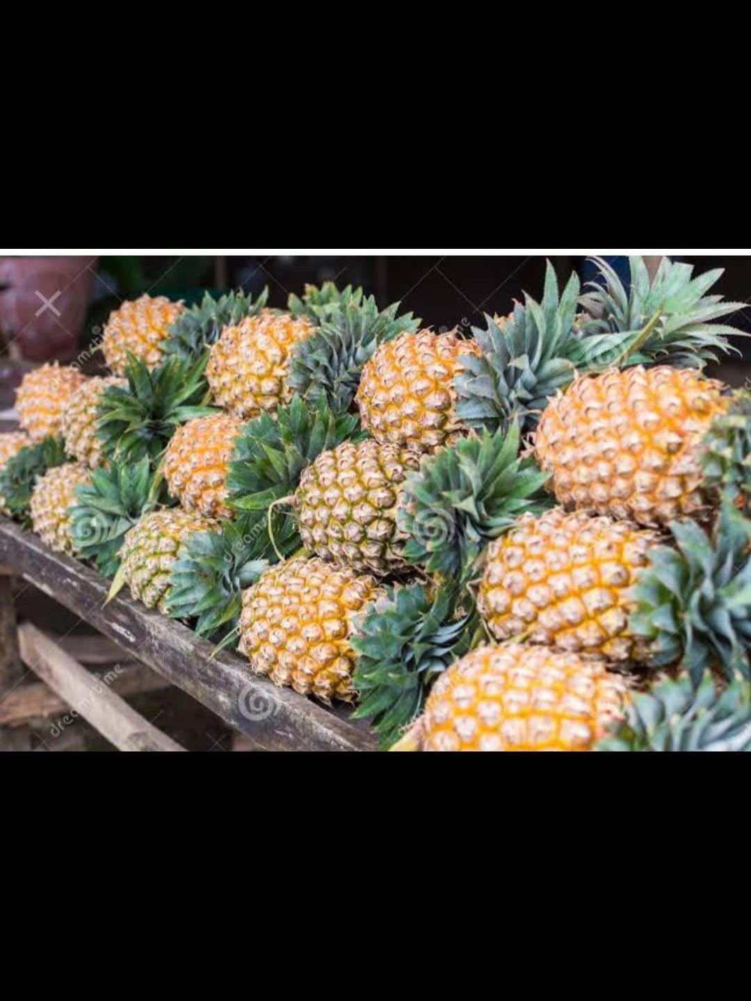 Top Fruit Retailers in Palsana - Best Fruits Shop Surat near me